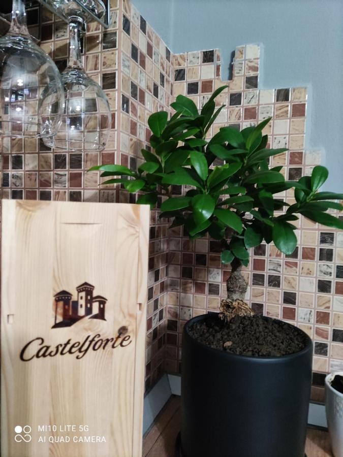 Koa Studio 1 Корча Екстериор снимка
